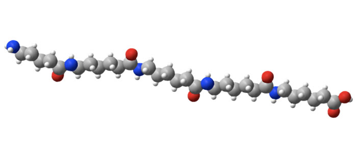 Health–Polymer Relationship