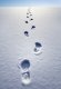 The Snow Trail Leavers…